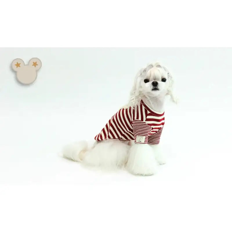 ITSDOG - Pet Star Bear T-Shirt - ITSDOG - Pet Clothes - Harumio