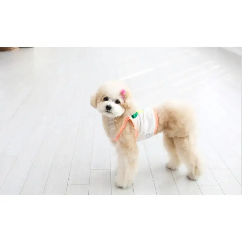 ITSDOG - Pet Fruit Sleeveless Crop Top - ITSDOG - Pet Clothes - Harumio