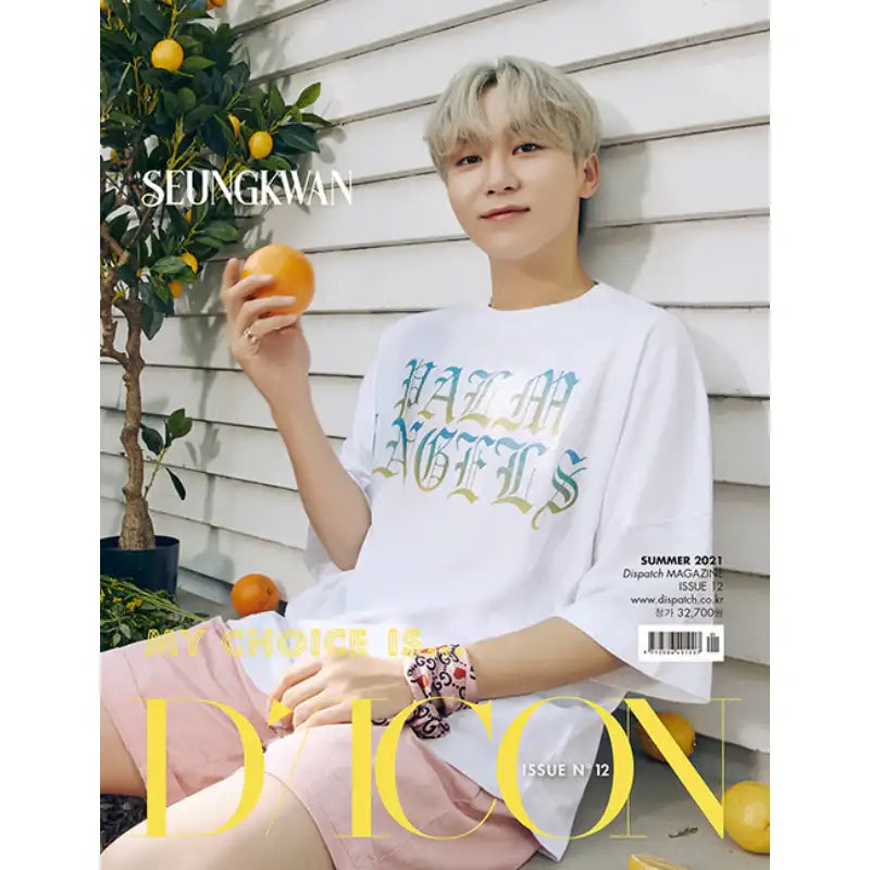 D-Icon - Vol.12 - MY CHOICE IS... SEVENTEEN Magazine - D-Icon - Magazine - Harumio