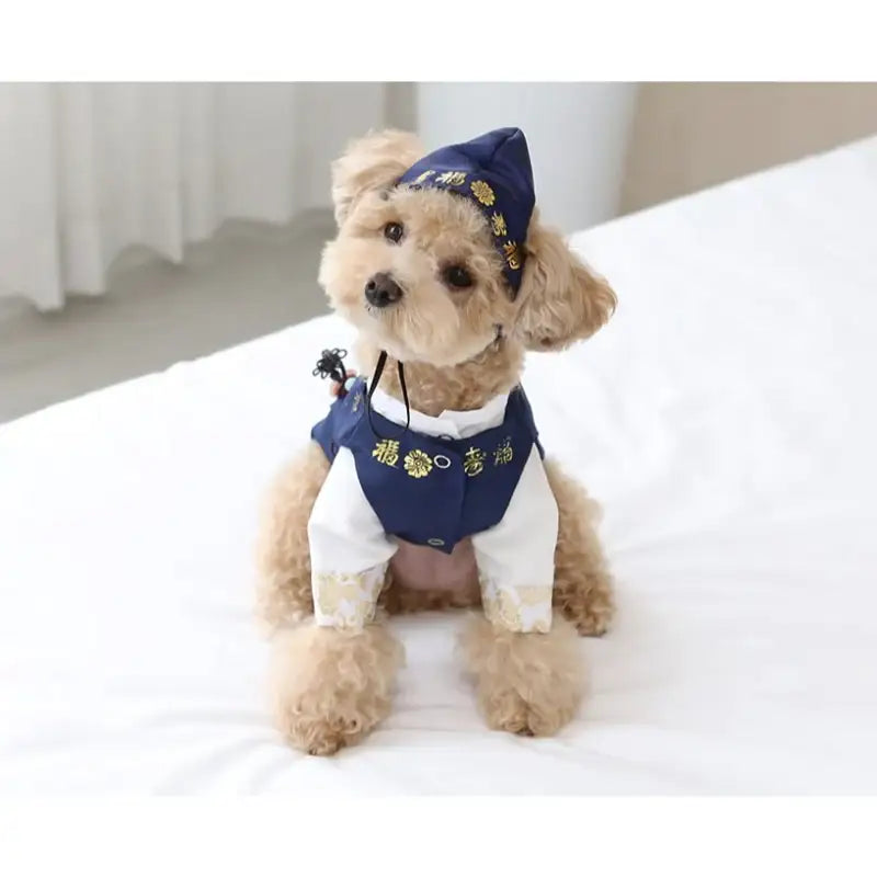 ITSDOG - Handmade Pet Prince Juwon Hanbok - ITSDOG - Pet Clothes - Harumio