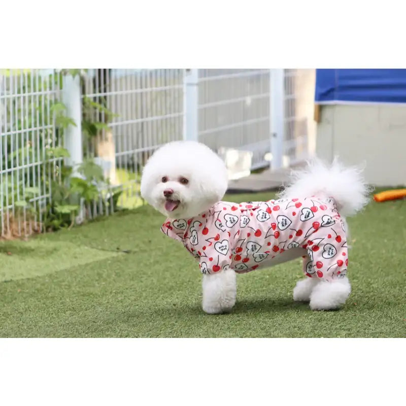ITSDOG - Pet Pancho Raincoat - ITSDOG - Pet Clothes - Harumio