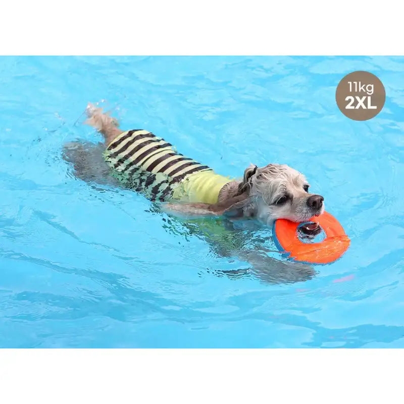 ITSDOG - Pet Honey Bee Rash Guard - ITSDOG - Pet Clothes - Harumio