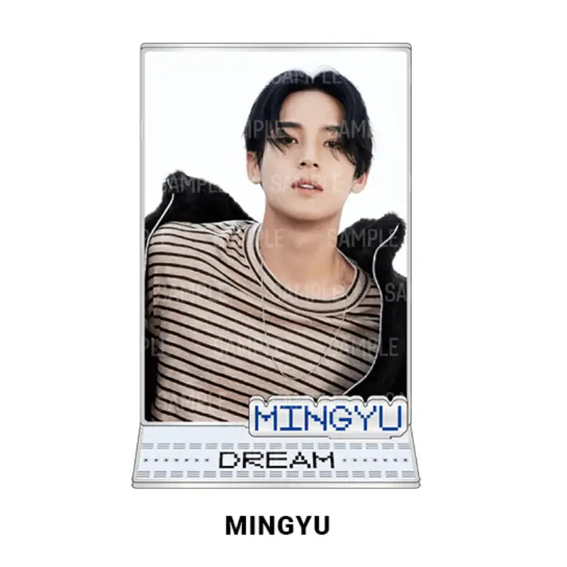Seventeen - DREAM - Acrylic Photo Card Stand - SEVENTEEN - Acrylic Stand - Harumio