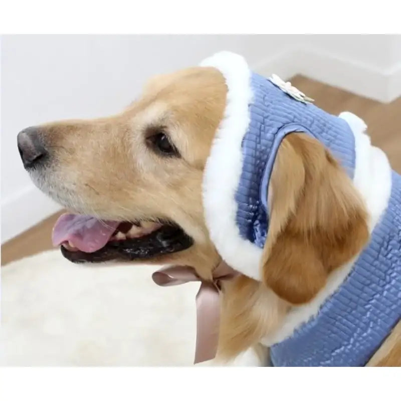 ITSDOG - Pet Narcissus Quilted Earmuffs - ITSDOG - Pet Accesories - Harumio