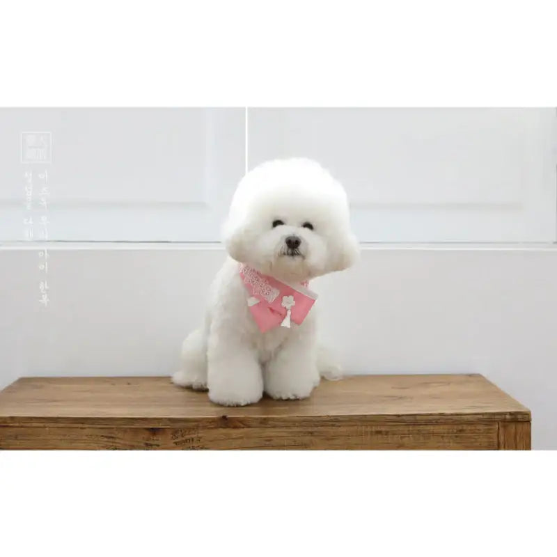 ITSDOG - Pet Daffodil Hanbok Scarf - ITSDOG - Pet Accesories - Harumio