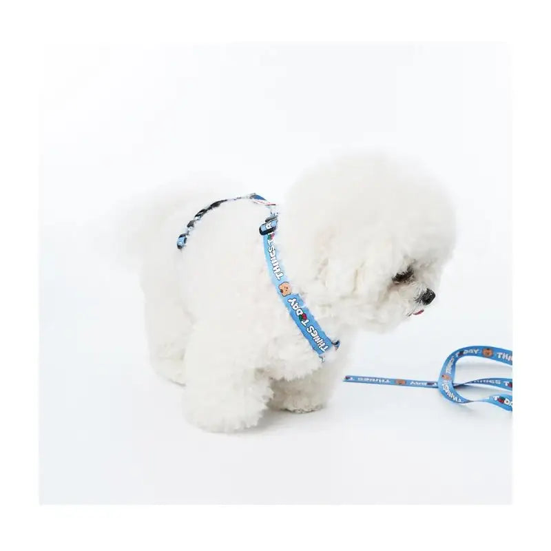 EARP EARP X KINIKINI - Dog Harness - Earp Earp - Pet Supplies - Harumio