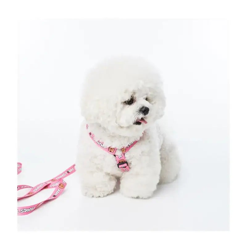 EARP EARP X KINIKINI - Dog Harness - Earp Earp - Pet Supplies - Harumio