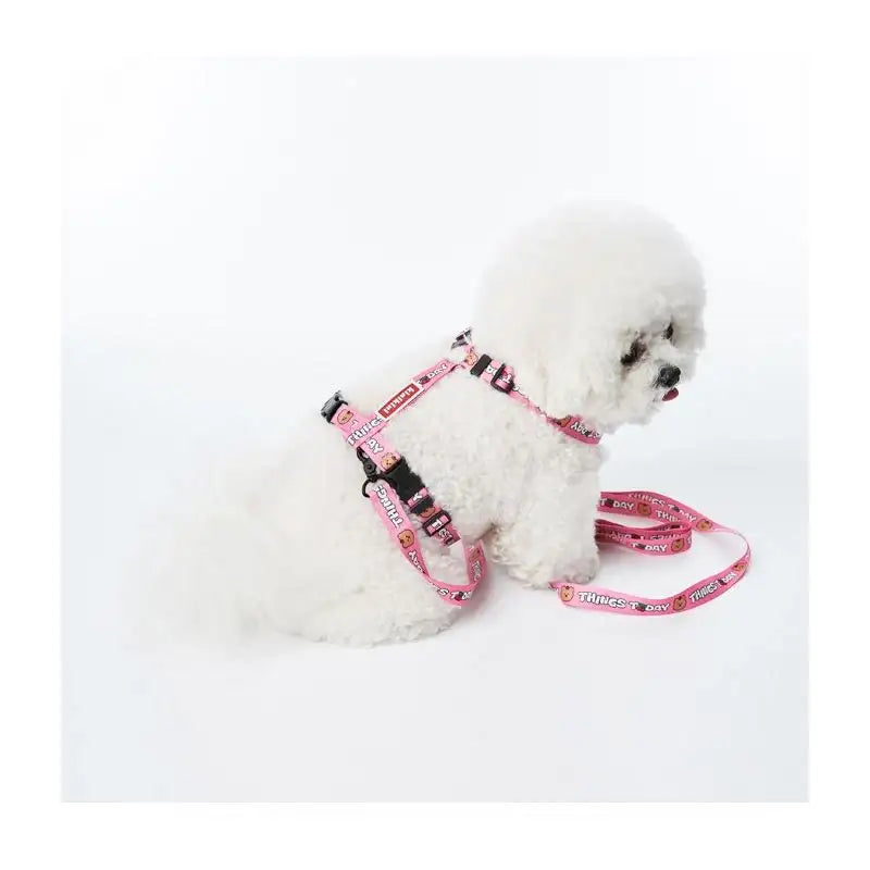 EARP EARP X KINIKINI - Dog Harness - Earp Earp - Pet Supplies - Harumio