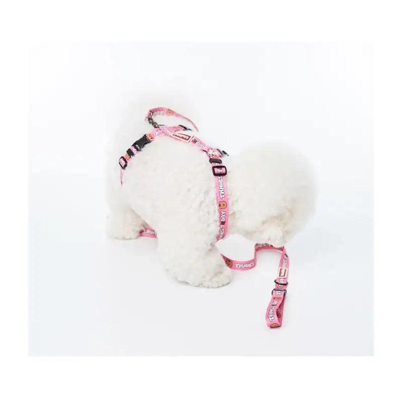 EARP EARP X KINIKINI - Dog Harness - Earp Earp - Pet Supplies - Harumio