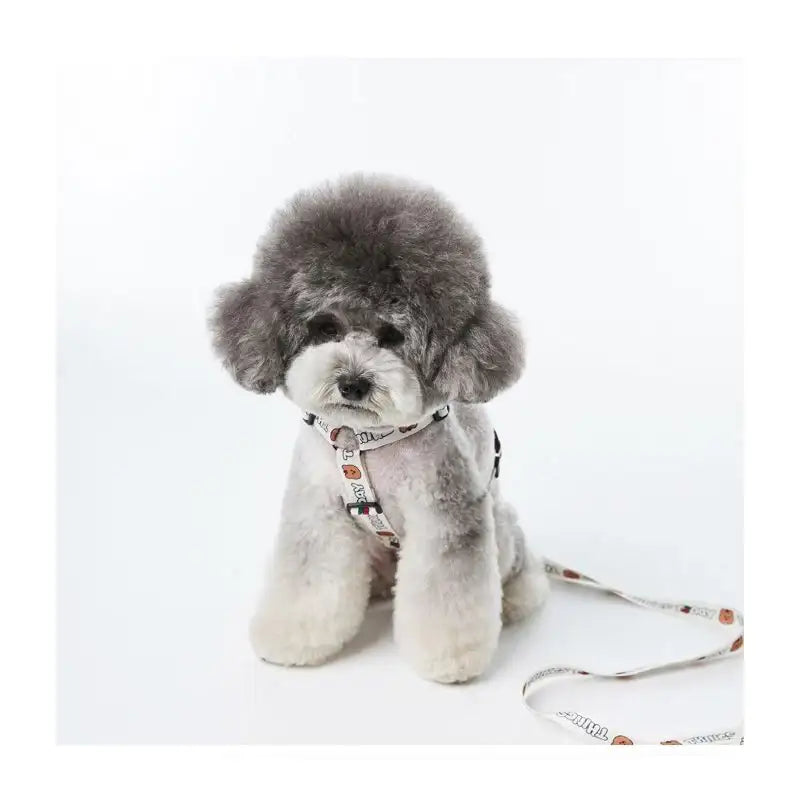 EARP EARP X KINIKINI - Dog Harness - Earp Earp - Pet Supplies - Harumio
