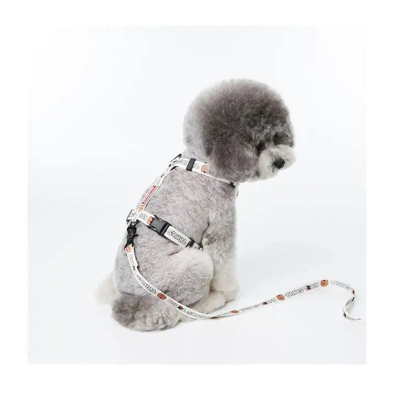 EARP EARP X KINIKINI - Dog Harness - Earp Earp - Pet Supplies - Harumio