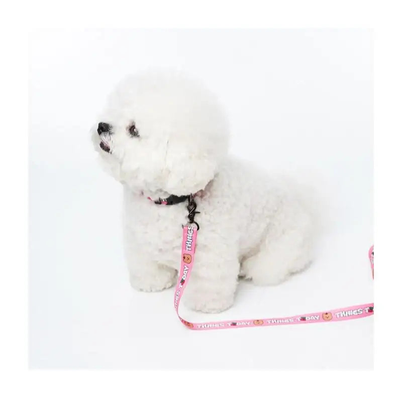 EARP EARP X KINIKINI - Dog Leash - Earp Earp - Pet Supplies - Harumio