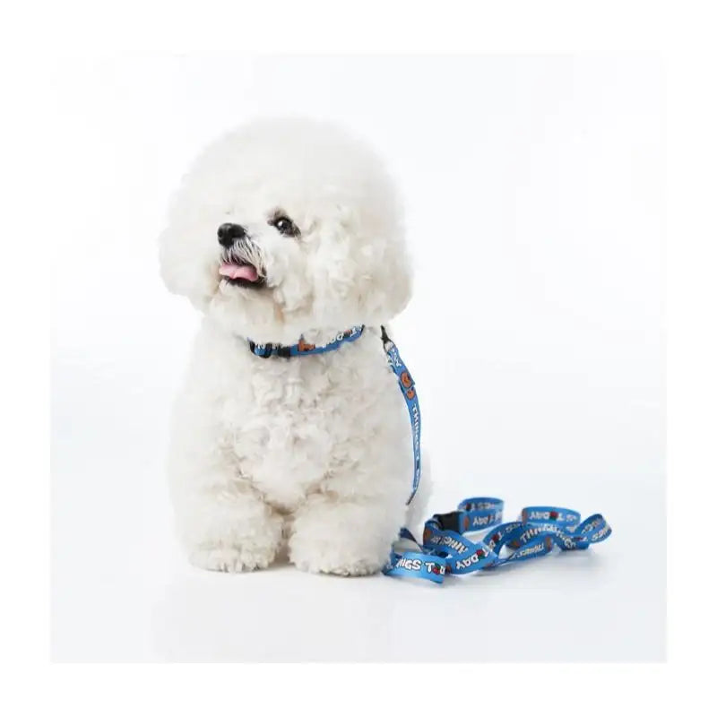 EARP EARP X KINIKINI - Dog Leash - Earp Earp - Pet Supplies - Harumio