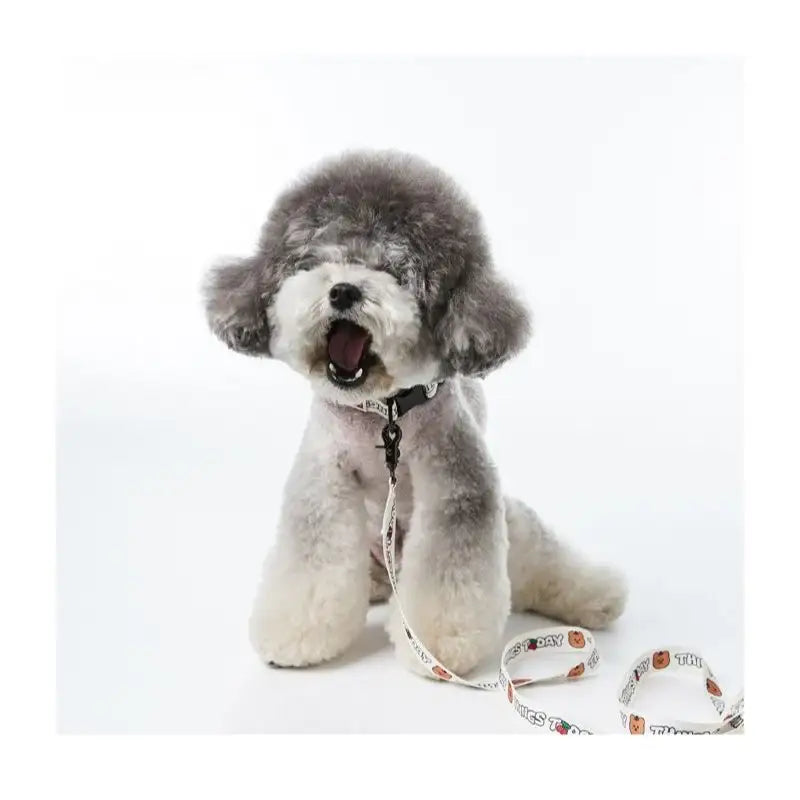 EARP EARP X KINIKINI - Dog Leash - Earp Earp - Pet Supplies - Harumio