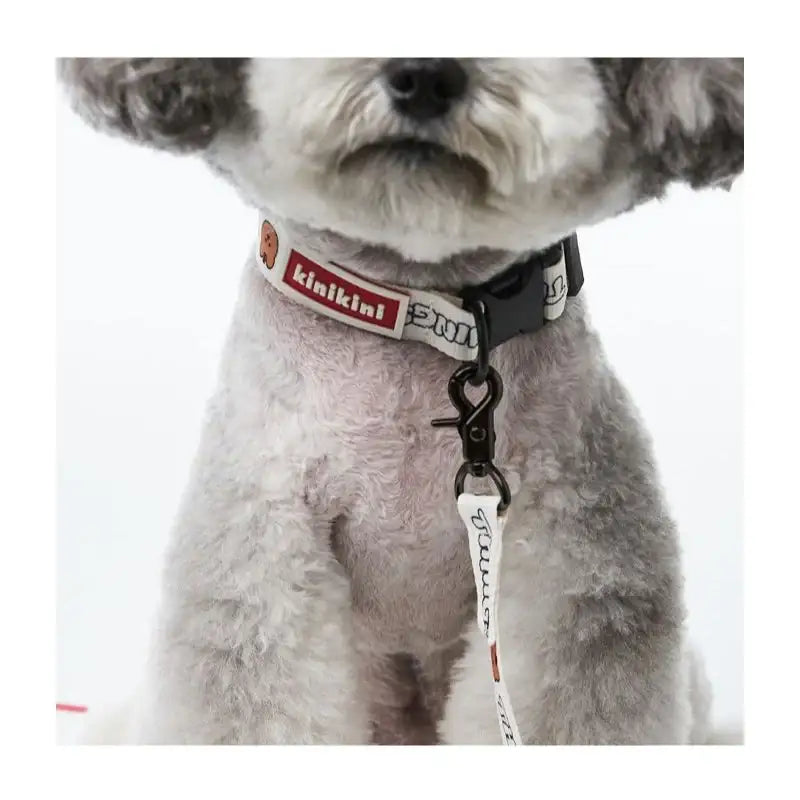 EARP EARP X KINIKINI - Dog Leash - Earp Earp - Pet Supplies - Harumio