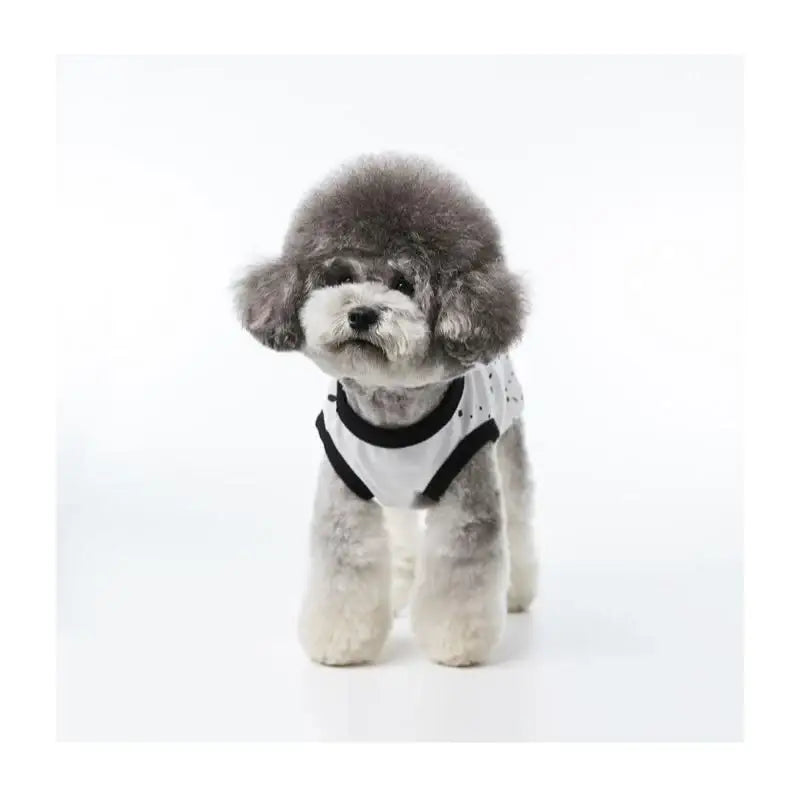 EARP EARP X KINIKINI - Dog Sleeveless - Earp Earp - Pet Supplies - Harumio