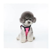 EARP EARP X KINIKINI - Dog Crop Top - Earp Earp - Pet Supplies - Harumio