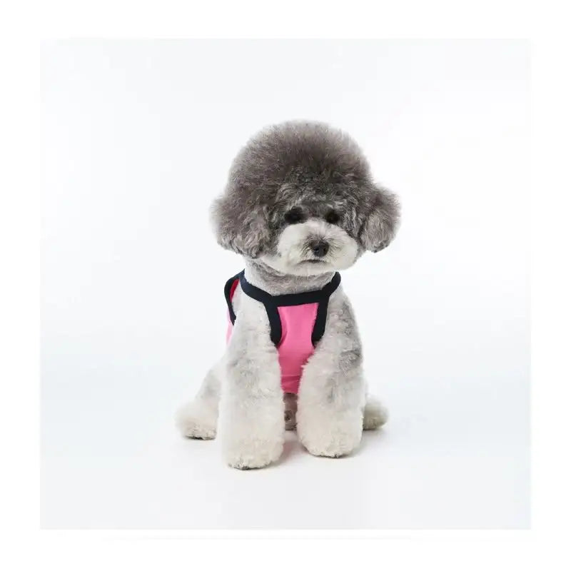 EARP EARP X KINIKINI - Dog Crop Top - Earp Earp - Pet Supplies - Harumio