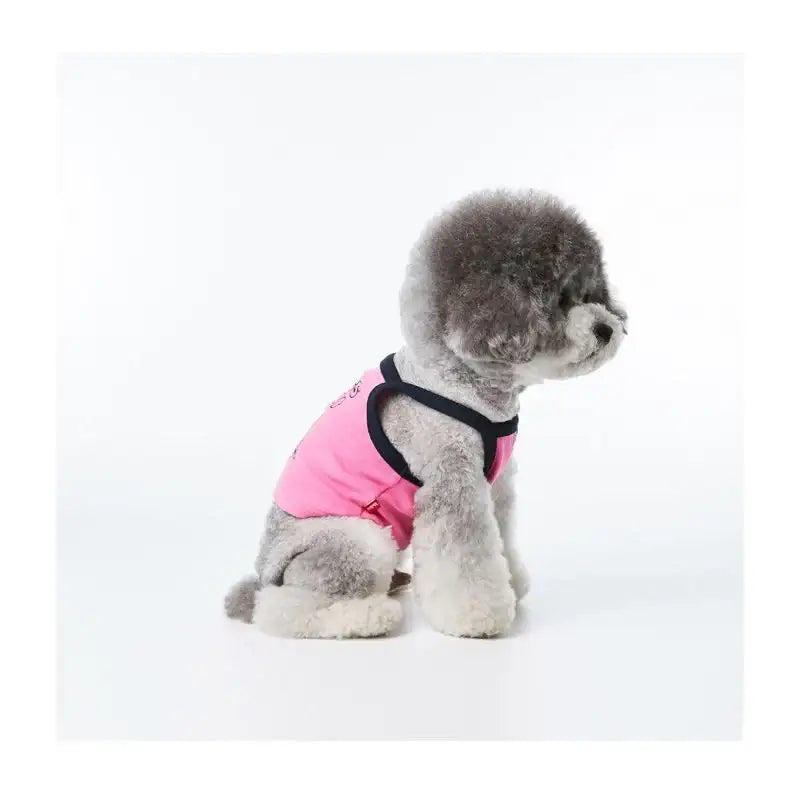 EARP EARP X KINIKINI - Dog Crop Top - Earp Earp - Pet Supplies - Harumio