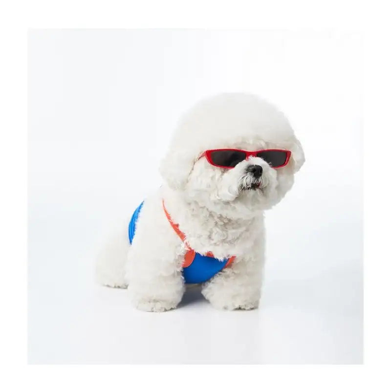 EARP EARP X KINIKINI - Dog Crop Top - Earp Earp - Pet Supplies - Harumio