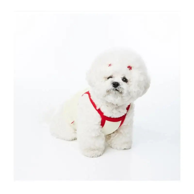 EARP EARP X KINIKINI - Dog Crop Top - Earp Earp - Pet Supplies - Harumio