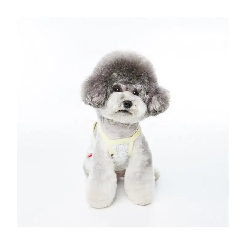 EARP EARP X KINIKINI - Dog Crop Top - Earp Earp - Pet Supplies - Harumio