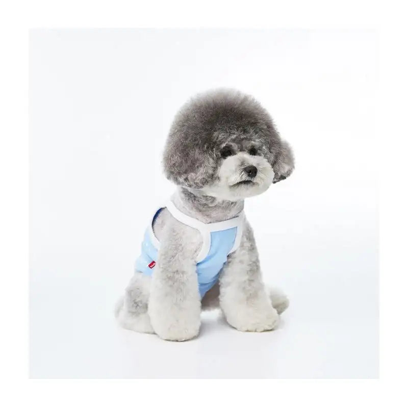 EARP EARP X KINIKINI - Dog Crop Top - Earp Earp - Pet Supplies - Harumio