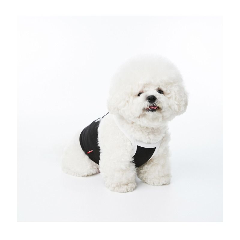 EARP EARP X KINIKINI - Dog Crop Top