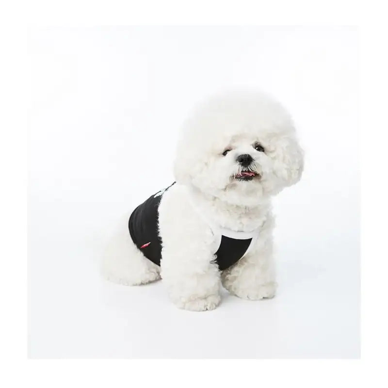 EARP EARP X KINIKINI - Dog Crop Top - Earp Earp - Pet Supplies - Harumio
