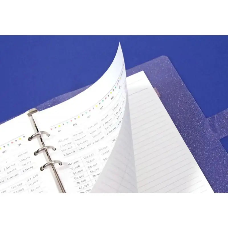 Second Mansion x 10X10 - Moonlight Cash Planner - Second Mansion - Planner - Harumio