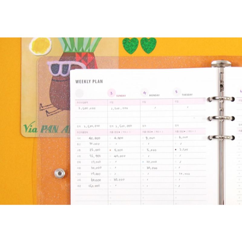 Second Mansion x 10X10 - Moonlight Cash Planner