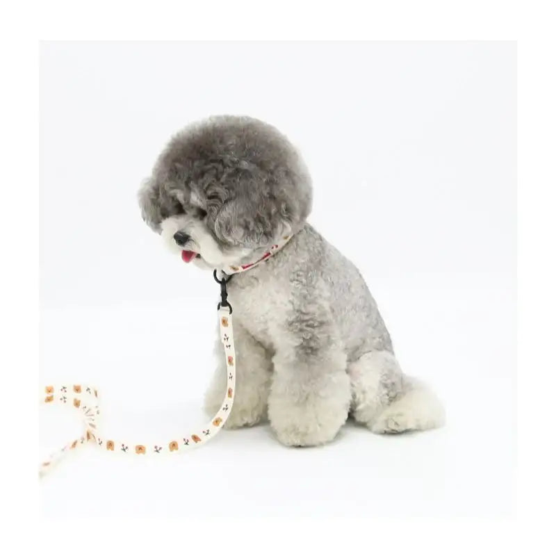 EARP EARP X KINIKINI - Dog Leash - Earp Earp - Pet Supplies - Harumio