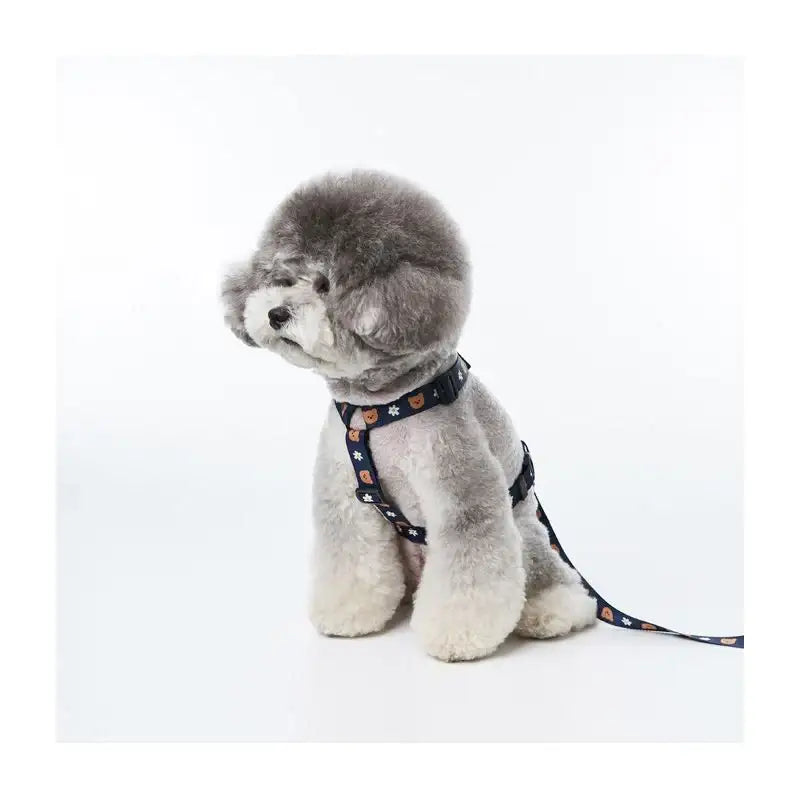 EARP EARP X KINIKINI - Dog Harness - Earp Earp - Pet Supplies - Harumio