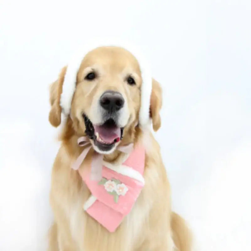 ITSDOG - Pet Narcissus Quilted Scarf - ITSDOG - Pet Accesories - Harumio