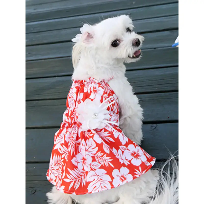 ITSDOG - Pet Honeymoon Dress - ITSDOG - Pet Clothes - Harumio