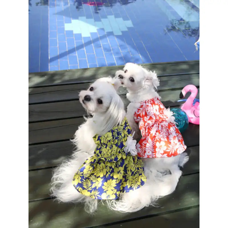 ITSDOG - Pet Honeymoon Dress - ITSDOG - Pet Clothes - Harumio