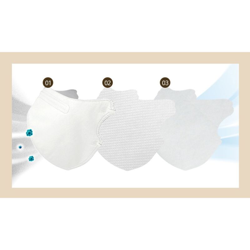 Lions - Color Face Mask