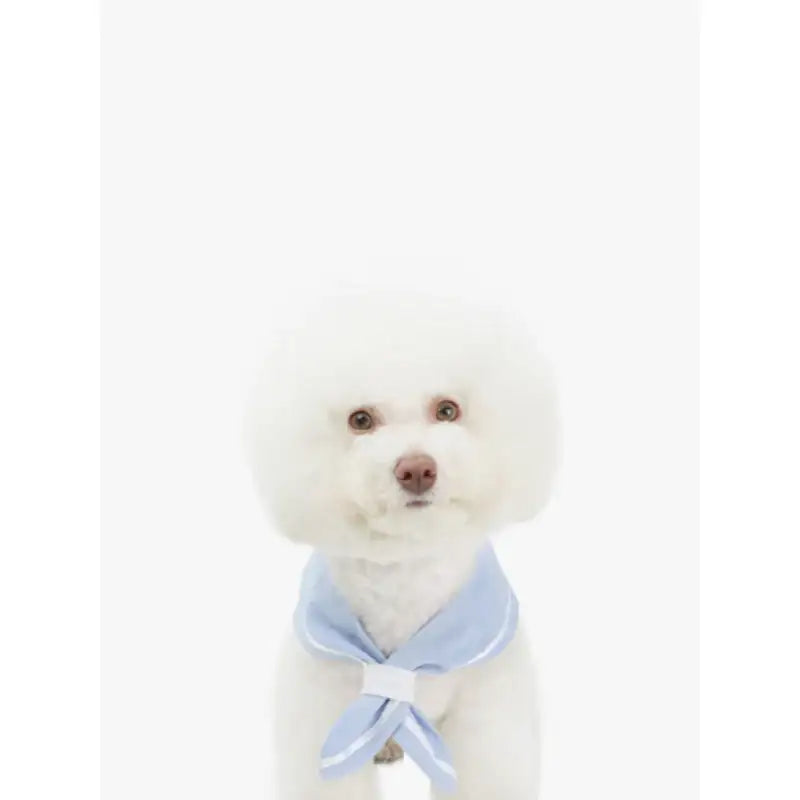 ITSDOG - Pet Linen Marine Scarf