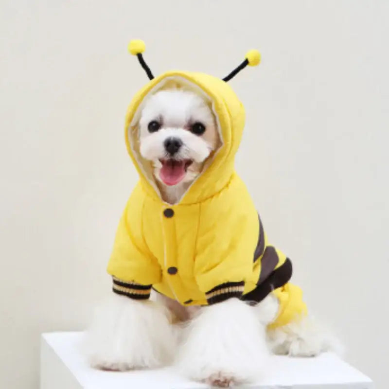 ITSDOG - Pet Honey Bee Padded All In One - ITSDOG - Pet Clothes - Harumio