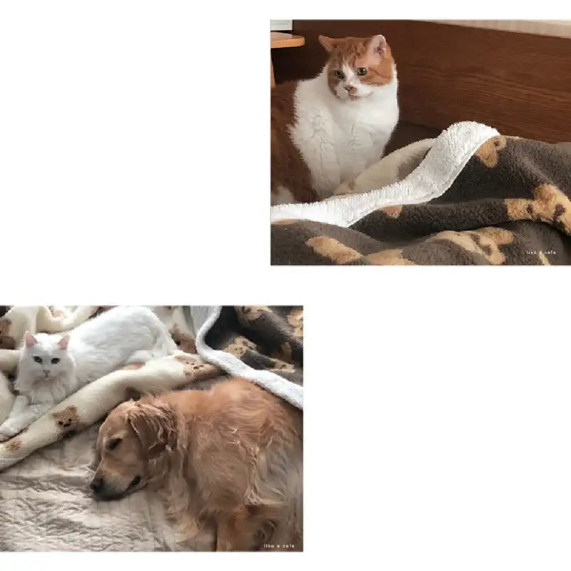 Like A Cafe - Fluffy Wool Blanket - Like A Cafe - Home & Living - Harumio