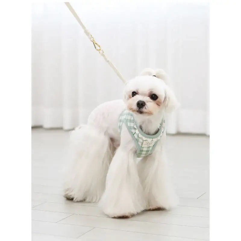ITSDOG - Pet Heart Checked Harness - ITSDOG - Pet Accesories - Harumio