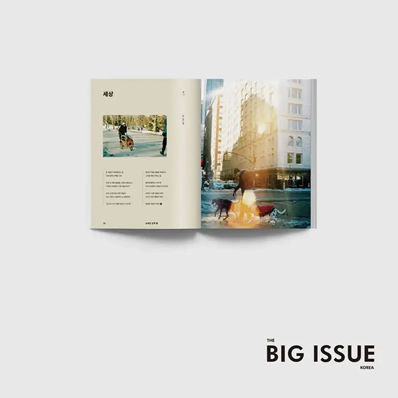 Big Issue - No.268 2022 - Magazine Cover Hong Ja - Big Issue Korea - Magazine - Harumio