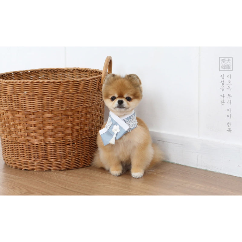 ITSDOG - Pet Daffodil Hanbok Scarf