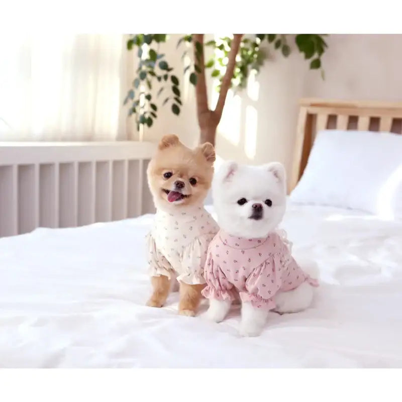 ITSDOG - Pet Versailles Puff T-Shirt - ITSDOG - Pet Clothes - Harumio