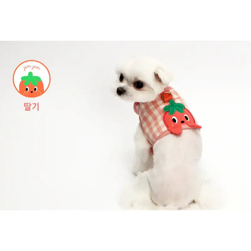 ITSDOG - Pet Jam Jam Peekaboo Harness - ITSDOG - Pet Accesories - Harumio