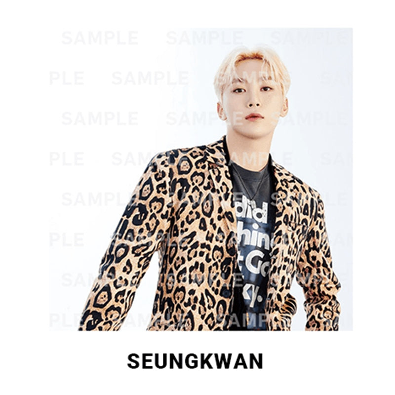 Seventeen - DREAM - Photo Canvas