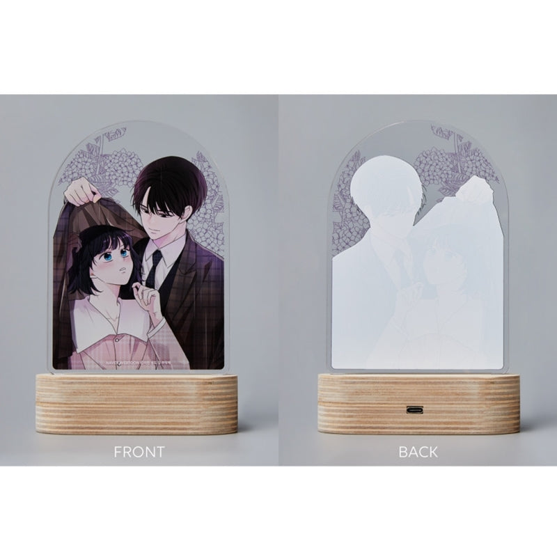 See You In My 19th Life - Acrylic Romance Mood Light