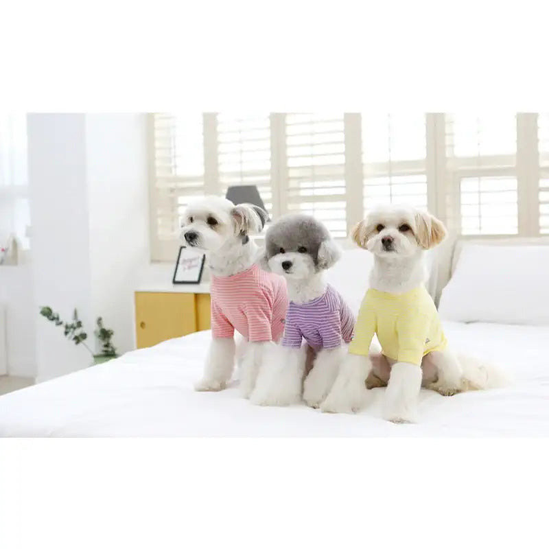 ITSDOG - Pet Jam Jam Striped Shirt - ITSDOG - Pet Clothes - Harumio