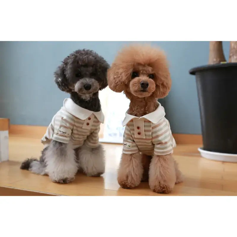 ITSDOG - Pet Organic Teddy Bear Polo Shirt - ITSDOG - Pet Clothes - Harumio