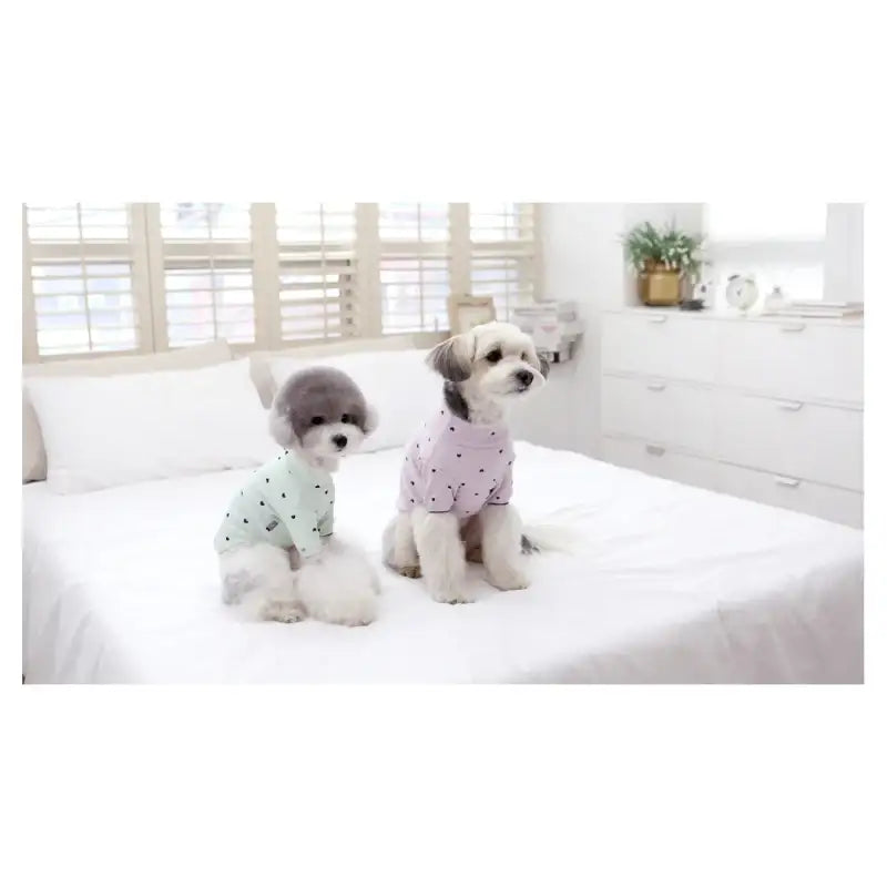 ITSDOG - Pet Heart T-Shirt - ITSDOG - Pet Clothes - Harumio